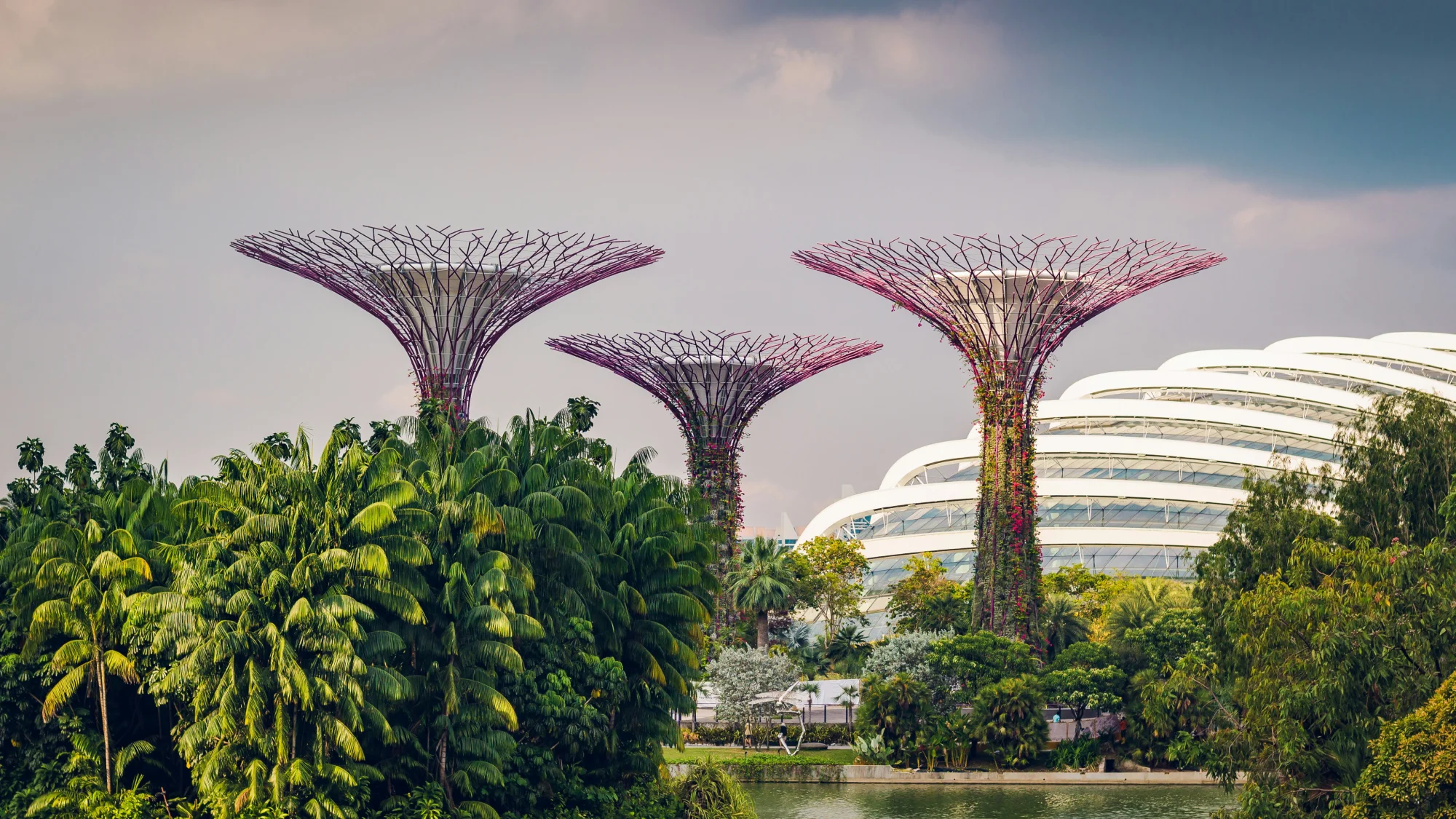 Gardens by the Bay supertrees in Singapore, where flow-three performance design consultancy is based